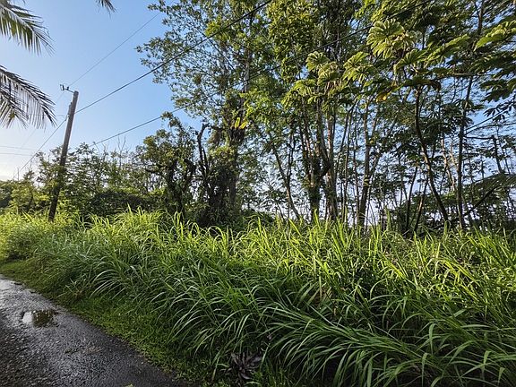 5th image of Molokai Rd Lot 317