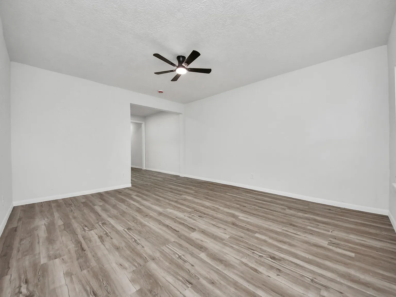 2 bed, 1.0 bath, 1623 sqft, $1,400 — Photo 3
