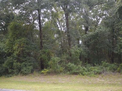 251 SW Timberland Ct, Lake City, FL, 32024