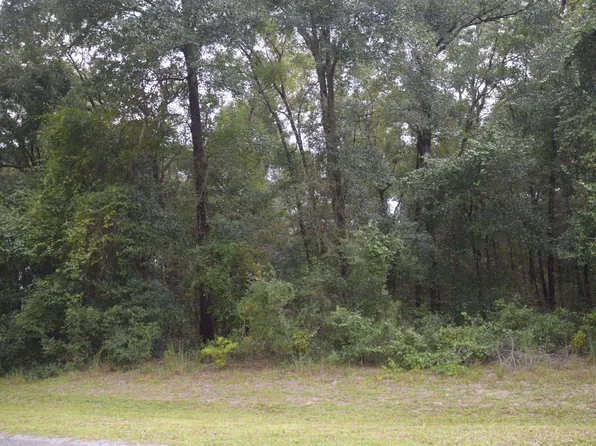 251 SW Timberland Ct, Lake City, FL 32024