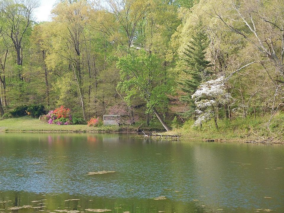 Lake in Spring