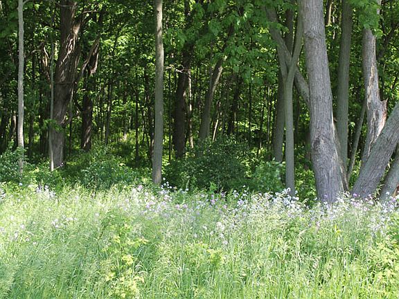 2nd image of S Bowgren Cir Lot 4