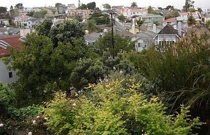 View from second floor