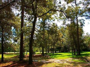 175 N Dolphin Ave, Middleburg, FL 32068