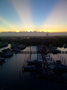 2539 Gary Cir APT 702, Dunedin, FL, 34698