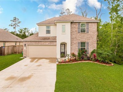 24213 Water Tupelo Rd, Ponchatoula, LA, 70454