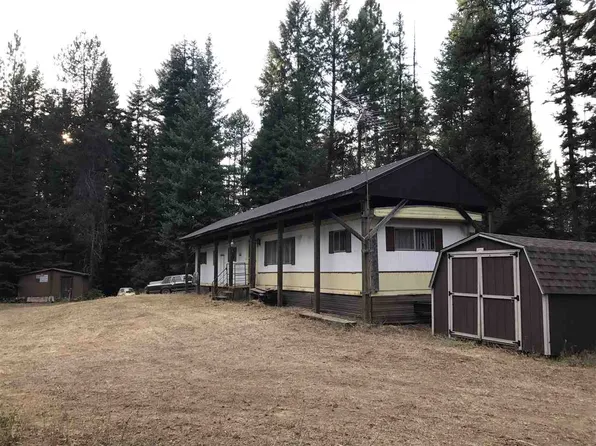 4258 Bussard Lake Rd, Loon Lake, WA 99148
