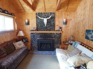 393 W Spring St, Nederland, CO 80466