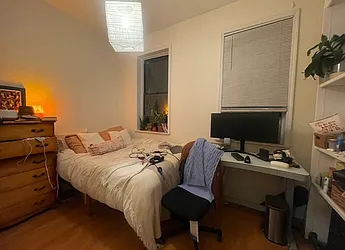 254 East 3rd Street, #13