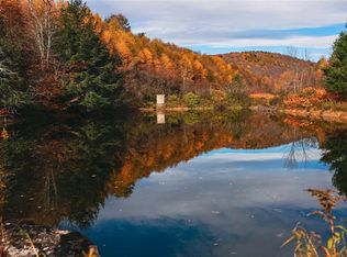 Big Hollow Rd, Deposit, NY 13754