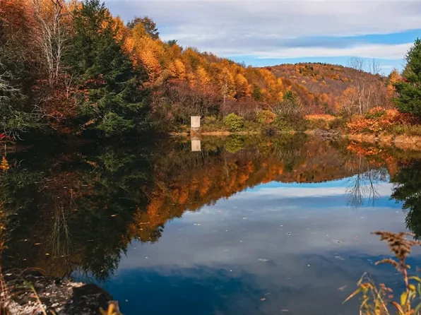 Big Hollow Rd, Deposit, NY 13754