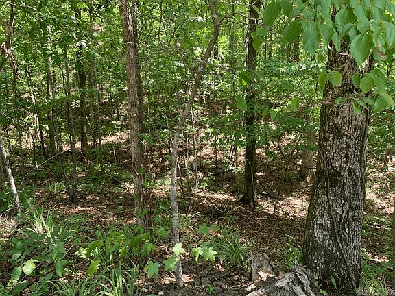 4th image of LOT 14 Denby Cove Dr