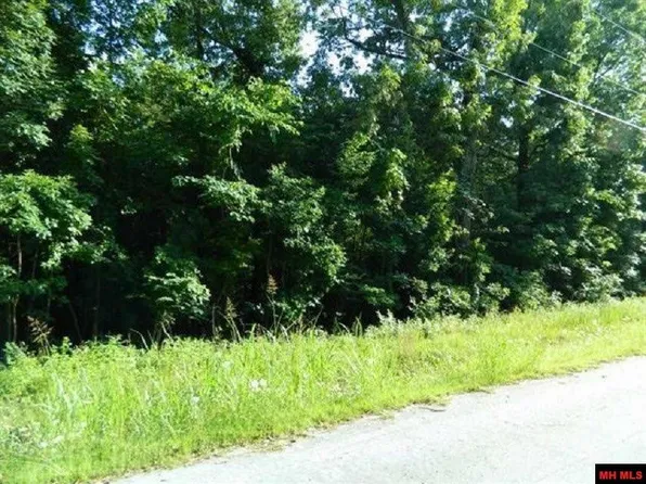 Lots 1 4 Walnut Ave, Bull Shoals, AR 72619
