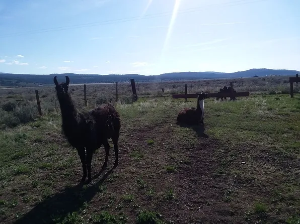 521-200 Raven Rd, Termo, CA 96132