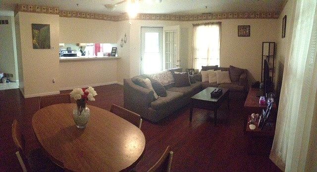 Living Room/Dining Room Area