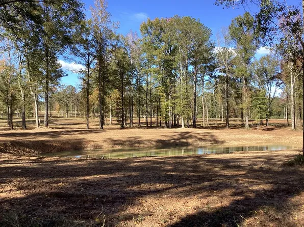 11200 Luverne Rd, Greenville, AL 36037