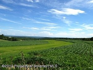 Hay and corn fields