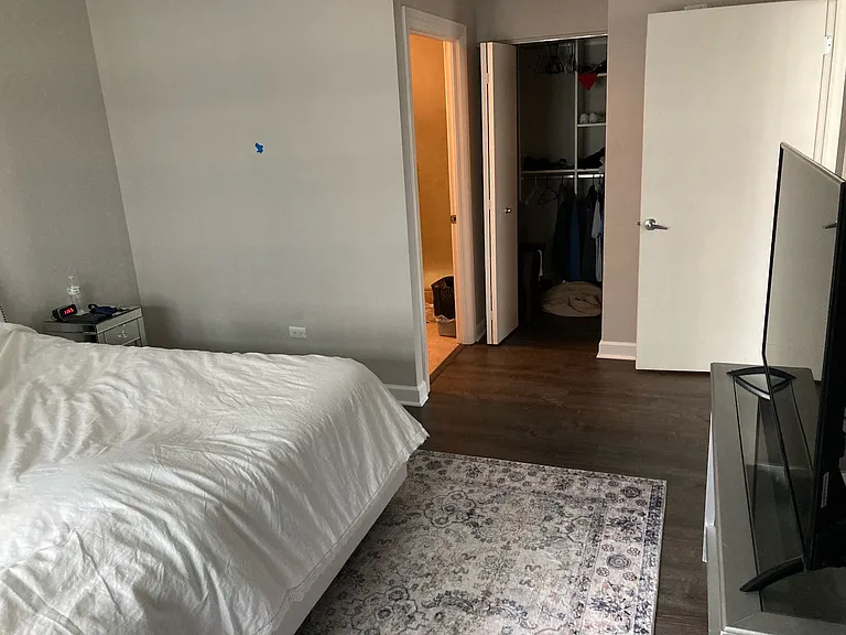451 W Huron St #1012 — Photo 6