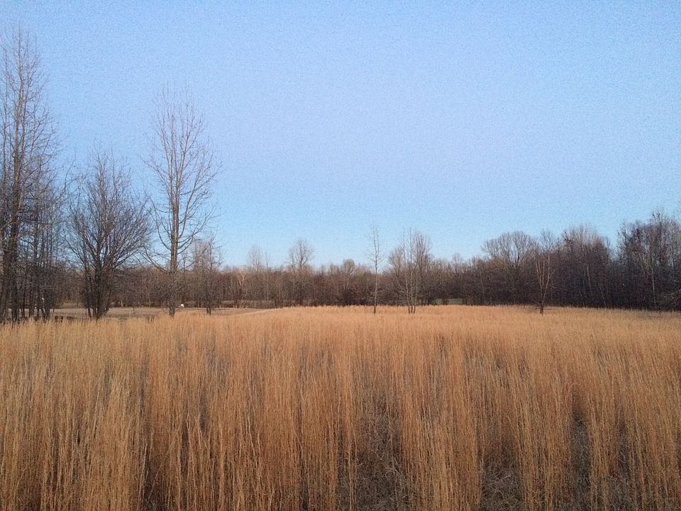2nd image of 89 Greene 647 Rd
