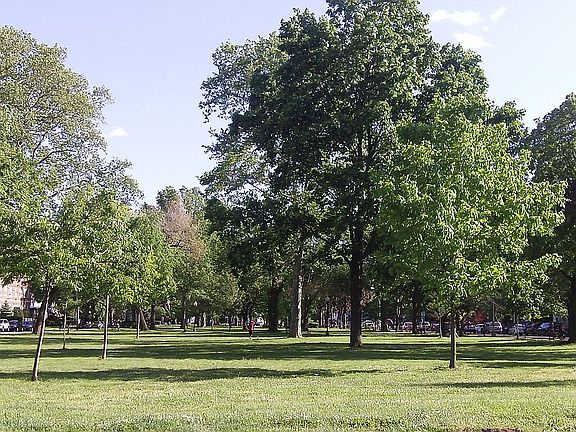 Park Just Blocks Away