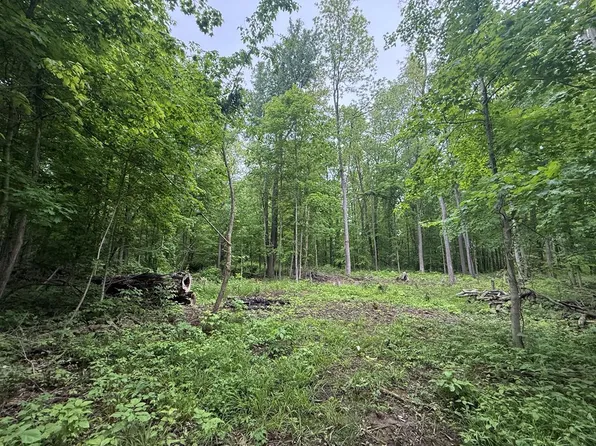 0 N State Route 511, Ashland, OH 44805