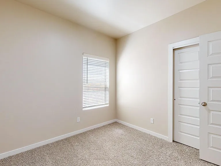 11118 Blue Eyed Grass St — Photo 33