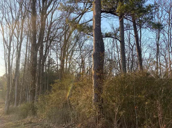 1 Acre Hwy #227, Guntersville, AL 35976