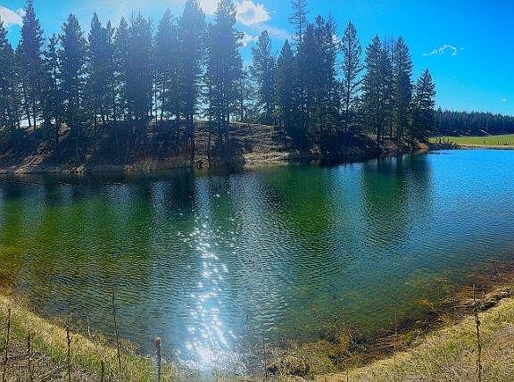 2nd image of 397 Malama Aina Rd