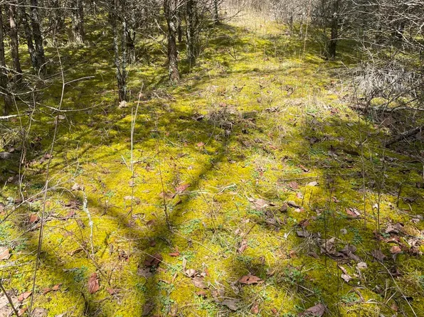 0 Seaville Rd, Willisburg, KY 40078