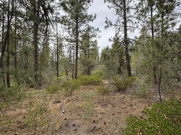 Gibbon Ln, Bonanza, OR 97623
