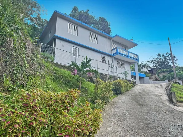 State Highway 742 Km #2.0, Cayey, PR 00736