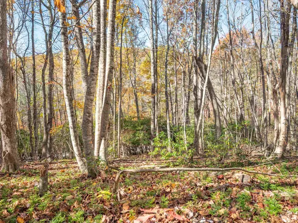857 Phadettia Rd SW, Willis, VA 24380