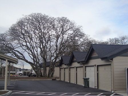 Garage and Covered Parking also Available!