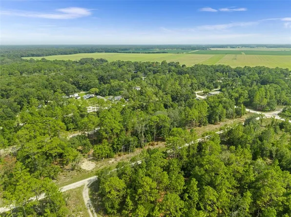 NE 156TH CT LOT 8, WILLISTON, FL 32696