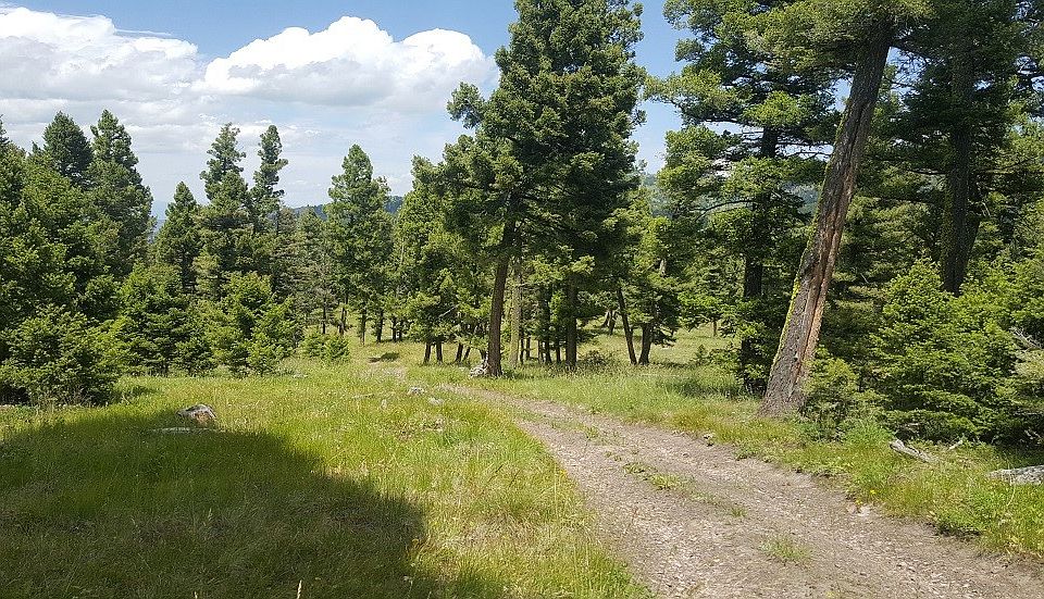 21 Elkhorn Rd, Helmville, MT 59843 Zillow