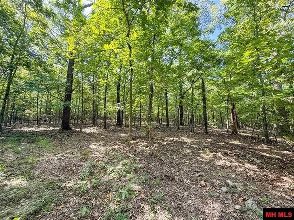 40 Ac Cres #625, Mountain Home, AR 72653