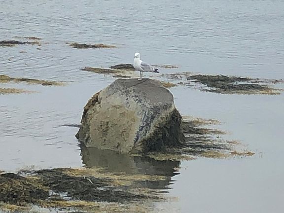 View from beach short distance away