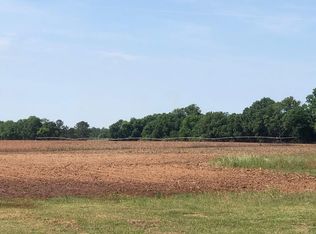 2619 W Bluffton Rd, Bluffton, GA 39824