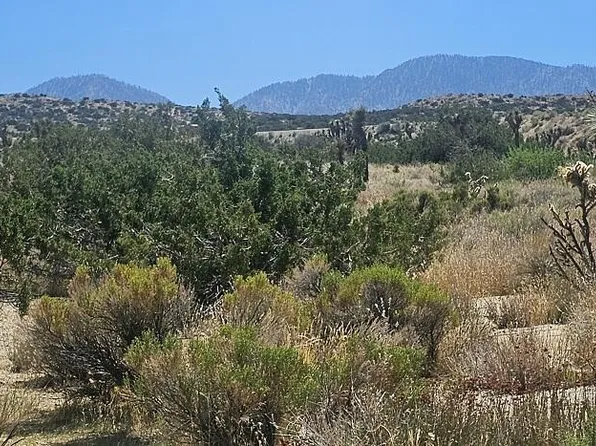 Avenue X 136th St E, Pearblossom, CA 93553