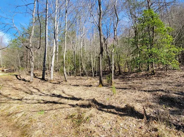 0 Watson Cove Rd, Franklin, NC 28734