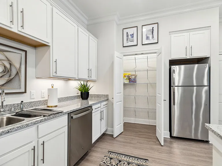 Alluvia Apartments — Photo 11