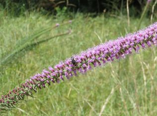 620 Pashun Ln, New waverly, TX 77358