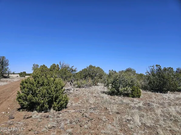 3G Yellow Rose -- #G, Show Low, AZ 85901