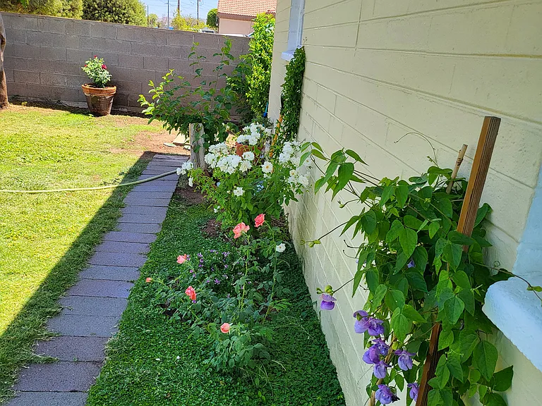 1040 N 27th Pl — Photo 107