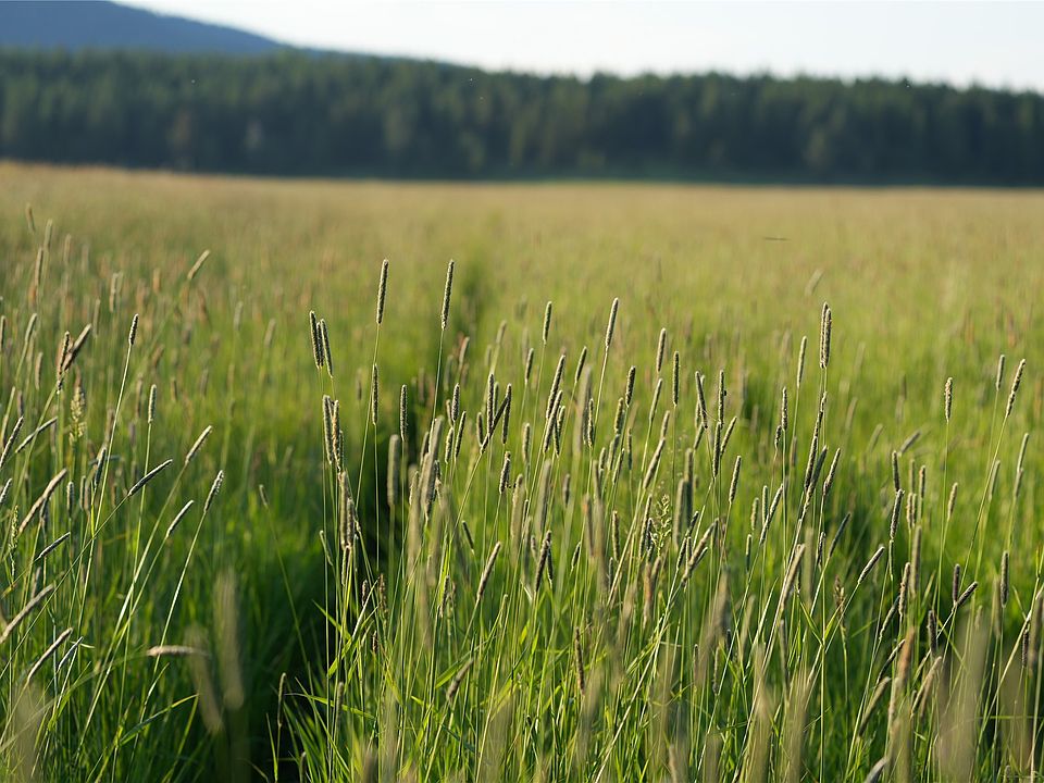 3690 Browns Meadow Rd, Kila, MT 59920 Zillow