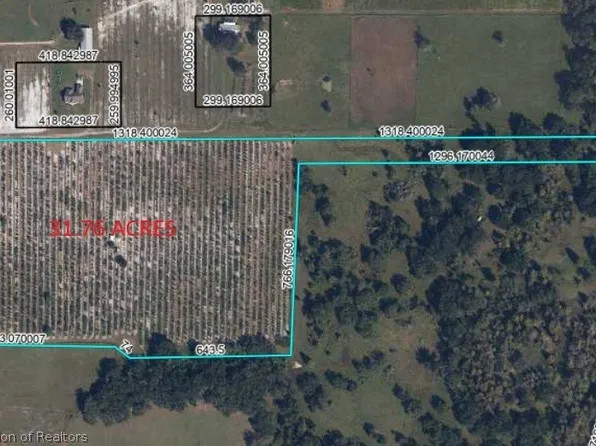 2794 Bessie Rd, Wauchula, FL 33873
