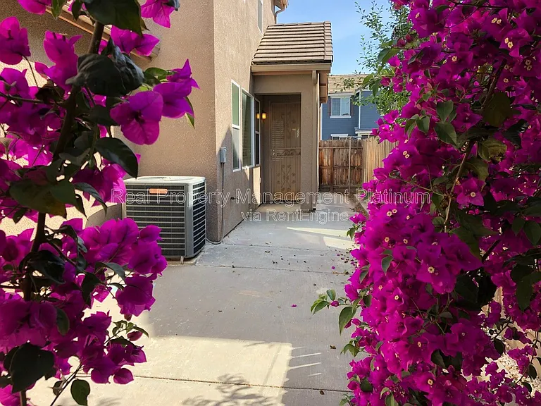 4437 W Pinsapo Dr — Photo 11