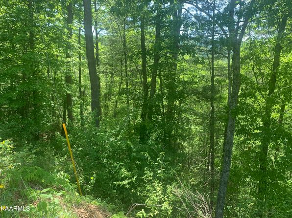 LOT 14 Clearview Rd, Sevierville, TN 37862