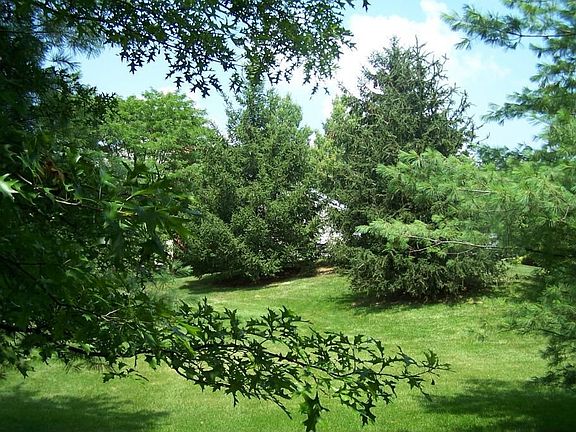 View from patio deck