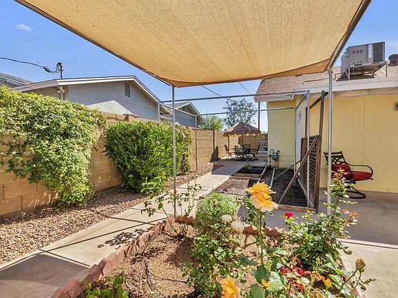 Fragrant rose garden, lady banks rose hedge